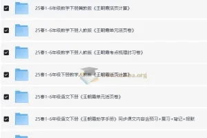王朝霞小学语数英学习资料包·2025春 全年级下册同步练习合集