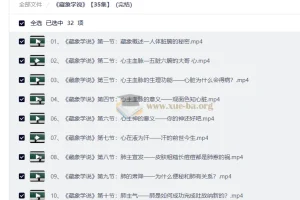藏象学说35集视频课程全解析：从心肝脾肺肾到六腑三焦的中医基础入门