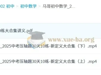 初中数学 2025中考压轴题30天10练 新定义大合集