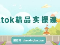 TikTok精品实操课：从零到一掌握跨境运营与店铺变现核心技能