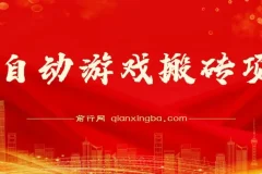 全自动游戏搬砖项目：多号挂机日入1000+，附完整操作课程与真实收益截图