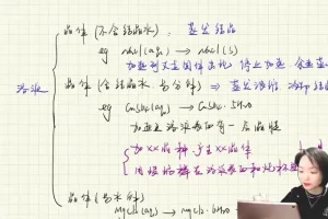 张梅高考化学二轮冲刺班：金属非金属/离子反应/电化学专题精讲