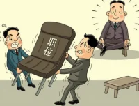 体制主任付费文合集：体制内生存与晋升的实战智慧