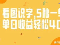 验证码录入看图识字副业，零门槛操作，日入200+实操教程