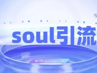 Soul引流创业粉实操方法，交友平台通用日引300+，零视频文案门槛