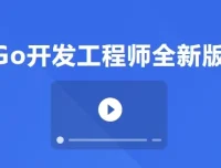 Go开发工程师全新版：从入门到微服务实战的全栈进阶指南