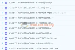 AI+财务人员进阶必修课二合一视频打包课，财务人转型与增值实战指南