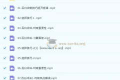 2026考研政治修齐百日冲关全程班 冲刺押题资料合集