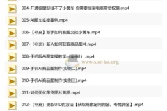 庄周不梦蝶AI图文带货实操课，从零掌握短视频带货全流程