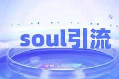 Soul引流创业粉野路子实操课，交友平台通用日均300+精准粉，零剪辑零文案