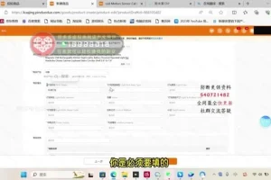 TEMU跨境电商11节实操课：从开店到爆单全流程指南