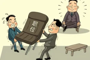 体制主任付费文合集：体制内生存与晋升的实战智慧
