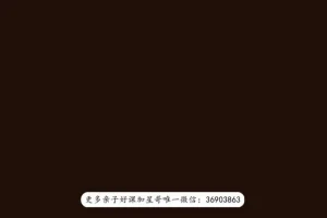 探索艺术史：从奥赛到卢浮宫的深度之旅