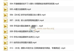 庄周不梦蝶AI图文带货实操课，从零掌握短视频带货全流程