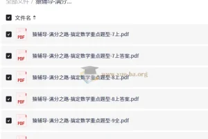 满分之路-搞定数学重点题型（7上+8上+9全）猿辅导初中数学专项突破