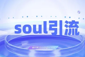 Soul引流创业粉野路子实操课，交友平台通用日均300+精准粉，零剪辑零文案