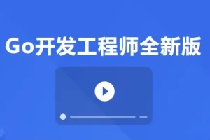 Go开发工程师全新版：从入门到微服务实战的全栈进阶指南