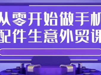 从零开始做手机配件外贸实战课：平台入驻、选品开发与爆款打造全攻略