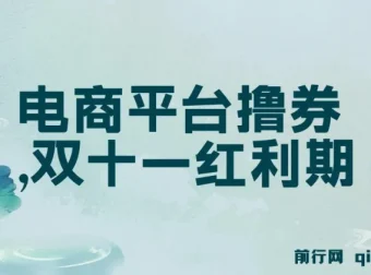 电商平台撸券实战教程，双十一红利期单号日入300+新玩法