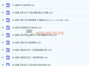 2024高一数学寒假提升 刘天麒A+班同步讲义与精讲视频