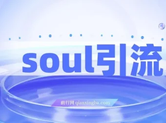 Soul引流创业粉实操方法，交友平台通用日引300+，零视频文案门槛