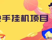 快手挂机项目实操教程，10天稳定600+收益，零基础可上手