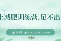 线上减肥训练营项目实操课，社群运营+朋友圈人设，零基础开启副业变现