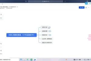 抖音心理测试赛道实操指南：6个作品快速涨粉2W全解析