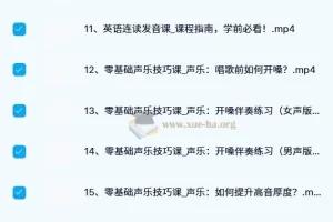 SF老师梗妹英文：英文歌学发音五合一课程合集
