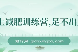 线上减肥训练营项目实操课，社群运营+朋友圈人设，零基础开启副业变现