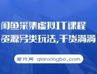 闲鱼虚拟IT课程资源采集变现新思路，实操干货分享