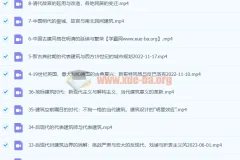 王受之教授《世界建筑史（现代篇）》36集全：从新艺术到解构主义的百年演进
