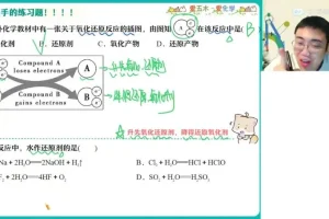 2024高一化学春季班【林森】全阶段视频课程+配套讲义