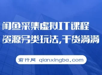 闲鱼虚拟IT课程资源采集变现新思路，实操干货分享