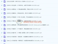 Sir电影私塾手机美食摄影课：百万美食大V亲授，从入门到出片的全套拍摄攻略