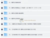 播音主持与伪声伪音系统教程合集 普通话培训配音朗诵发音技巧视频课