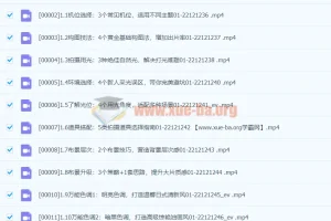 Sir电影私塾手机美食摄影课：百万美食大V亲授，从入门到出片的全套拍摄攻略