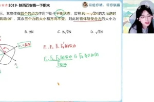 2024高一物理秋季提升班 林婉晴运动学力学专题精讲