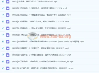 Sir电影私塾手机美食摄影课：百万美食大V亲授，从入门到出片的全套拍摄攻略