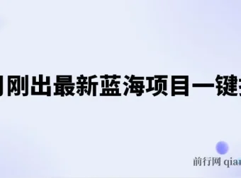 五月最新蓝海项目：抖音视频号一键托管，矩阵躺赚收益分成全攻略