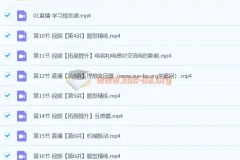 2024高中物理高二物理宋雨晴A+寒假班精品课程
