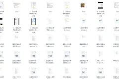 2025豆包AI高阶视频教程+精准提示词合集 大模型通用实战指南[PDF]