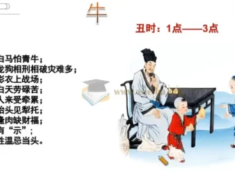 张峪宁名正言顺姓名学密训课9节视频全集
