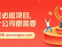 年底企业刚需项目实操教程，零成本启动抢占年前风口