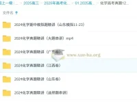 高中化学 2025高三高考化学 政哥李政 高考真题12小时精讲班