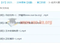 刘勖雯2023高三高考政治三阶段系统课 选择题大题专项突破