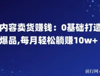 内容卖货赚钱：0基础打造爆品，每月轻松躺赚10w+