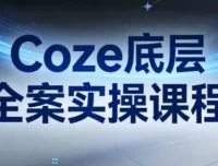 Coze底层全案实操课程：从架构设计到高效部署的完整指南