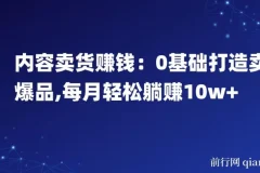 内容卖货赚钱：0基础打造爆品，每月轻松躺赚10w+