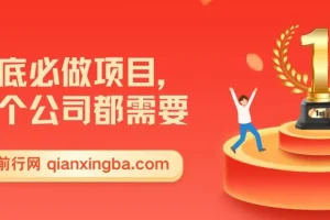 年底企业刚需项目实操教程，零成本启动抢占年前风口